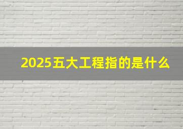 2025五大工程指的是什么