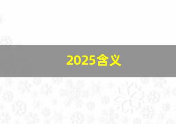 2025含义