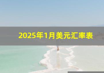 2025年1月美元汇率表