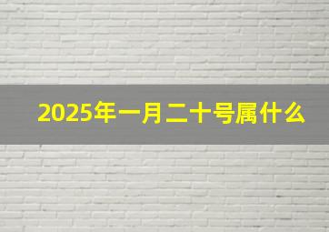 2025年一月二十号属什么