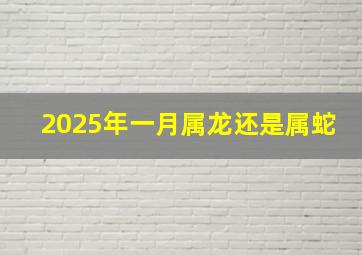 2025年一月属龙还是属蛇