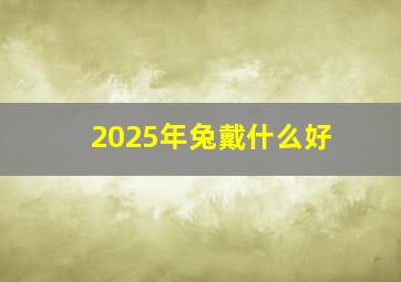 2025年兔戴什么好