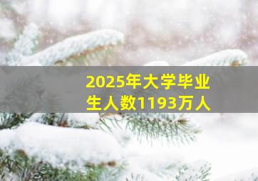 2025年大学毕业生人数1193万人