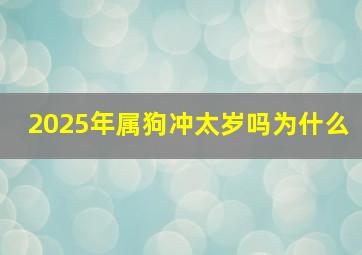 2025年属狗冲太岁吗为什么