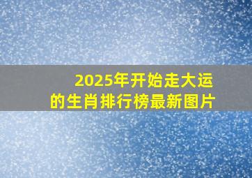 2025年开始走大运的生肖排行榜最新图片