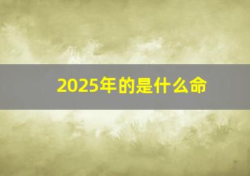 2025年的是什么命