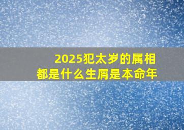 2025犯太岁的属相都是什么生屑是本命年