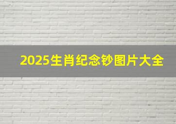 2025生肖纪念钞图片大全