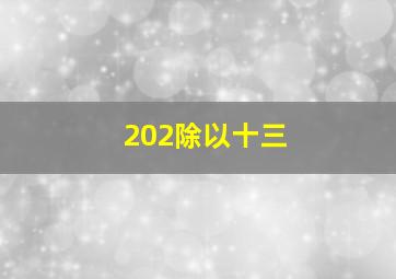 202除以十三