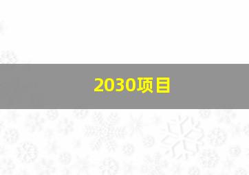 2030项目