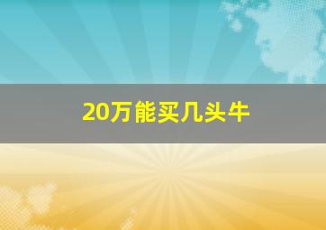 20万能买几头牛