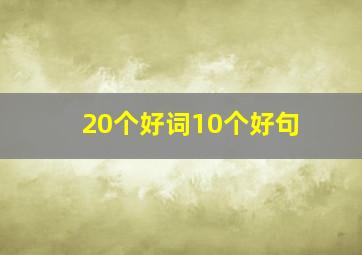 20个好词10个好句