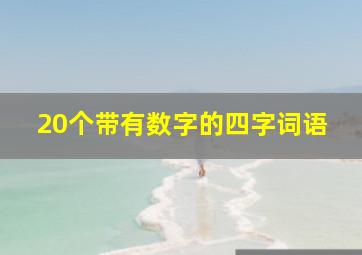 20个带有数字的四字词语