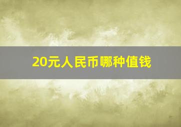 20元人民币哪种值钱