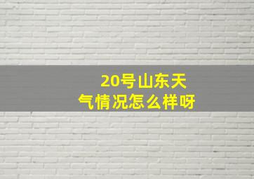 20号山东天气情况怎么样呀