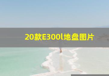 20款E300l地盘图片