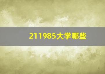 211985大学哪些