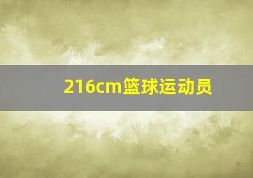 216cm篮球运动员