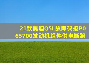 21款奥迪Q5L故障码报P065700发动机组件供电断路