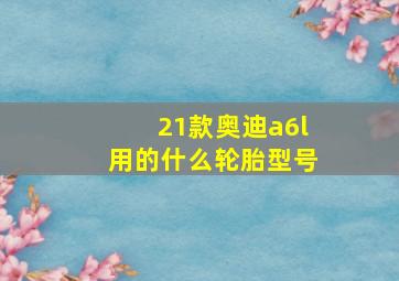 21款奥迪a6l用的什么轮胎型号