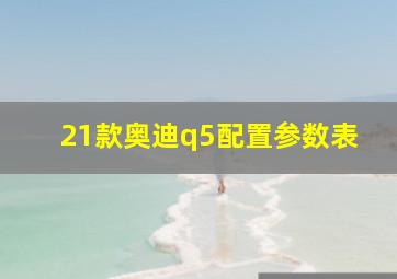 21款奥迪q5配置参数表