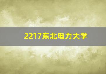 2217东北电力大学