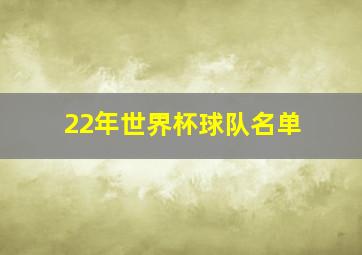 22年世界杯球队名单