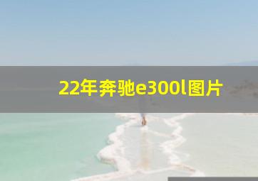 22年奔驰e300l图片