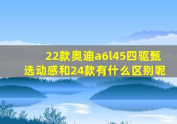 22款奥迪a6l45四驱甄选动感和24款有什么区别呢