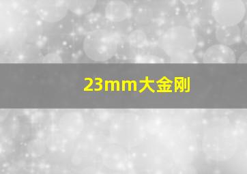 23mm大金刚