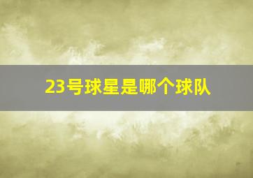 23号球星是哪个球队