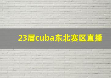 23届cuba东北赛区直播