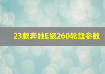 23款奔驰E级260轮毂参数