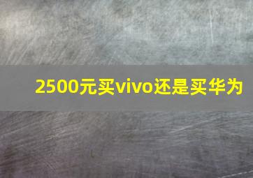 2500元买vivo还是买华为