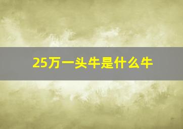 25万一头牛是什么牛