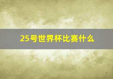 25号世界杯比赛什么