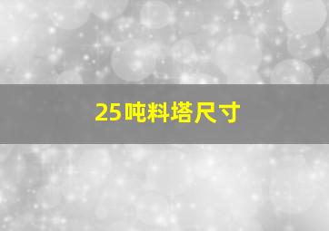 25吨料塔尺寸