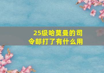 25级哈莫曼的司令部打了有什么用