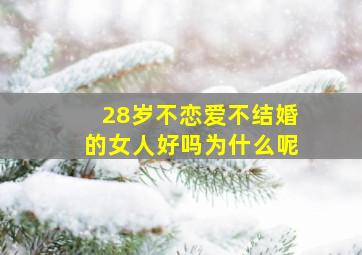 28岁不恋爱不结婚的女人好吗为什么呢