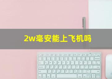 2w毫安能上飞机吗