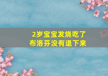 2岁宝宝发烧吃了布洛芬没有退下来