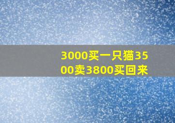 3000买一只猫3500卖3800买回来