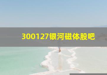 300127银河磁体股吧