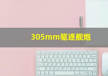 305mm驱逐舰炮