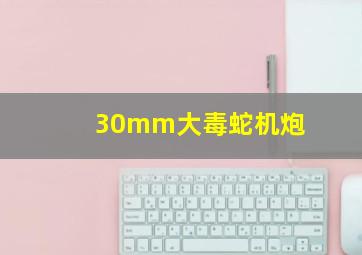 30mm大毒蛇机炮