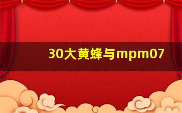 30大黄蜂与mpm07