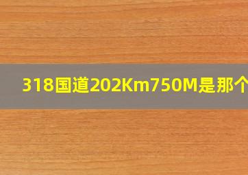 318国道202Km750M是那个位置