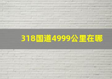 318国道4999公里在哪