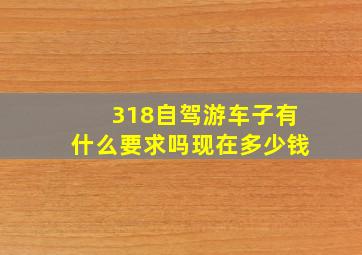 318自驾游车子有什么要求吗现在多少钱