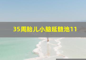 35周胎儿小脑延髓池11